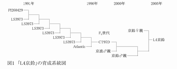 図1 「 L4 京鈴」の育成系統図