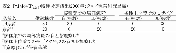 表2 PMMoV(P 1.2.3 ) 接種検定結果