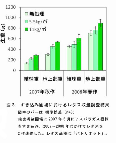 図3 すき込み圃場におけるレタス収量調査結果