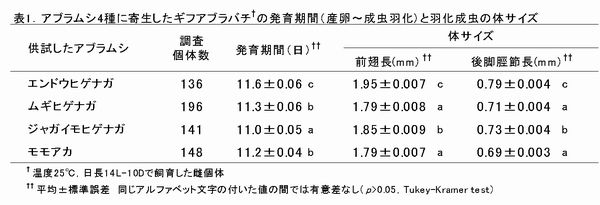 表1 アブラムシ 4 種に寄生したギフアブラバチ † の発育期間(産卵~成虫羽化)と羽化成虫の体サイズ