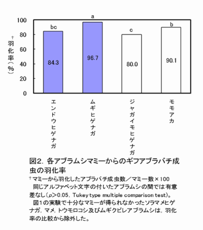 図2 各アブラムシマミーからのギフアブラバチ成虫の羽化率