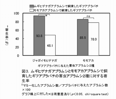 図3 ムギヒゲナガアブラムシとモモアカアブラムシで飼育したギフアブラバチの害虫アブラムシ2種に対する寄生率