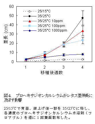 図4 プロヘキサジオンカルシウムがレタス茎伸長に及ぼす影響