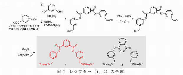 図1 レセプター(1、2)の合成