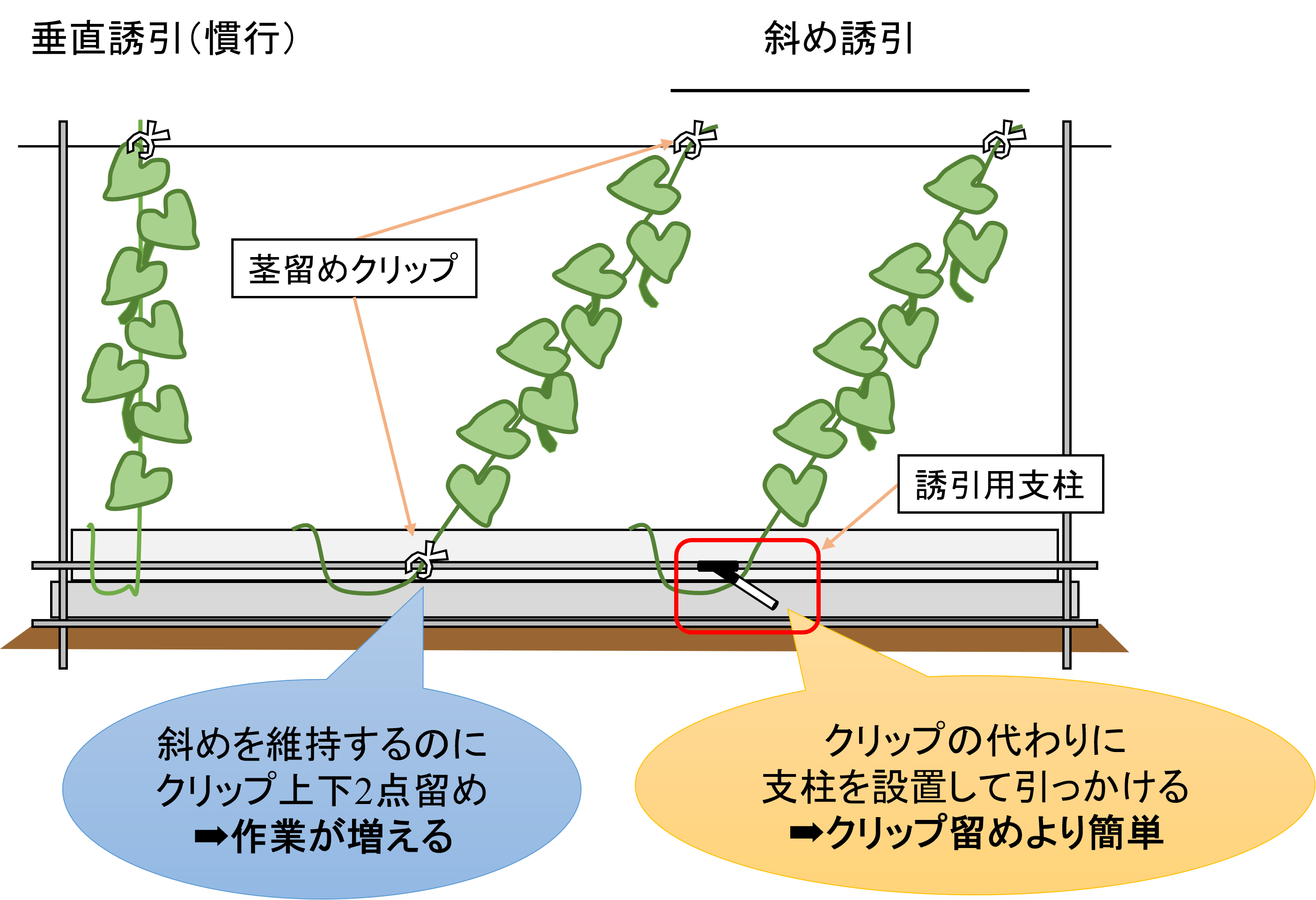 斜め誘引の課題と解決策
