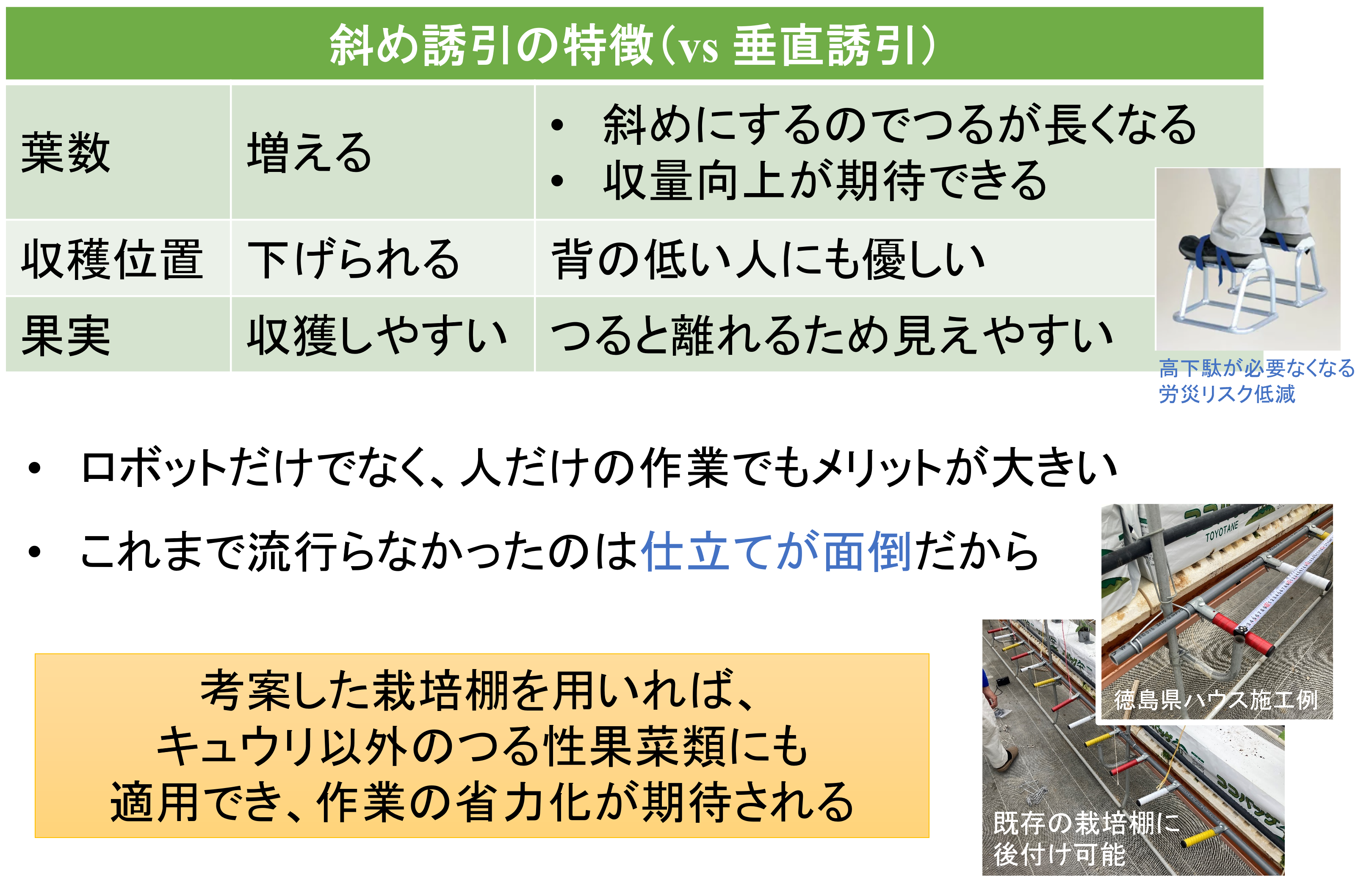 斜め誘引の有用性と今後の展望