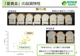東北農業研究センターのプレゼンテーション資料