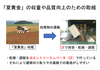 栽培事例に関する古川農業試験場のプレゼンテーション資料