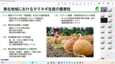 オンラインでの講演時の画面の例