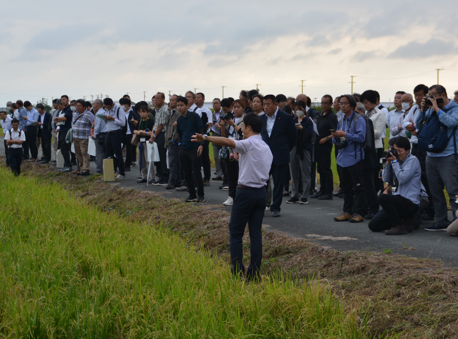 ほ場説明会の様子