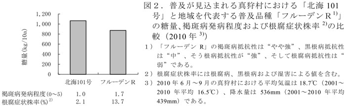 図2.普及が見込まれる真狩村における「北海101号」と地域を代表する普及品種「フルーデンR1)」の糖量、褐斑病発病程度および根腐症状株率2)の比較(2010年3))