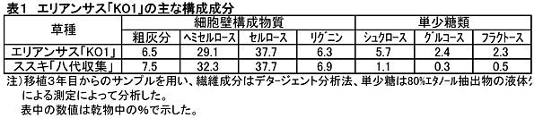 表1 エリアンサス「KO1」の主な構成成分