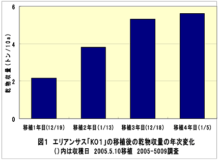 図1 エリアンサス「KO1」の移植後の乾物収量の年次変化 ( )内は収穫日 2005.5.10移植 2005-5009調査