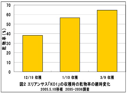 図2 エリアンサス「KO1」の収穫時の乾物率の継時変化 2005.5.10移植 2005-2006調査