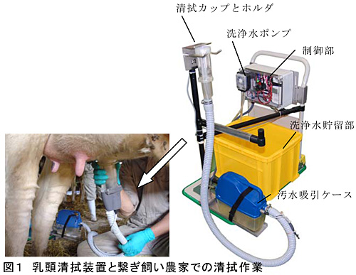 図1 乳頭清拭装置と繋ぎ飼い農家での清拭作業