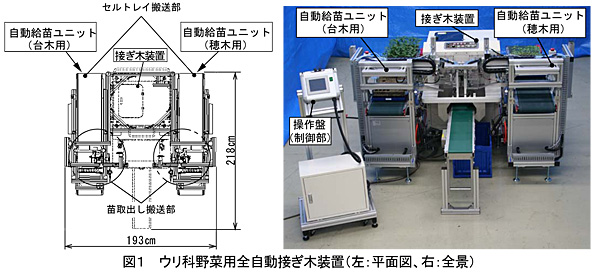 図1 ウリ科野菜用全自動接ぎ木装置(左:平面図、右:全景)