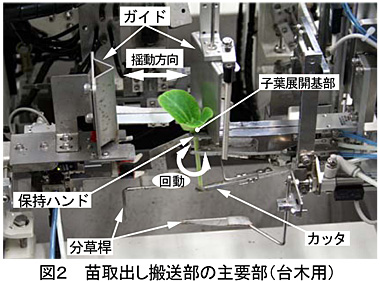 図2 苗取出し搬送部の主要部(台木用)