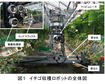 イチゴ収穫ロボットの全体図