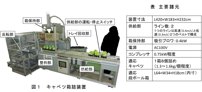 キャベツ箱詰装置