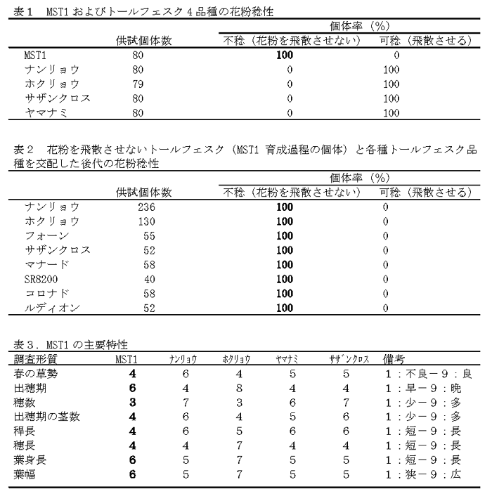 表1 MST1およびトールフェスク4品種の花粉稔性 表2 花粉を飛散させないトールフェスク(MST1育成過程の個体)と各種トールフェスク品種を交配した後代の花粉稔性 表3.MST1の主要特性