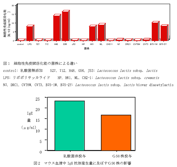 図1 細胞性免疫賦活化能の菌株による違い