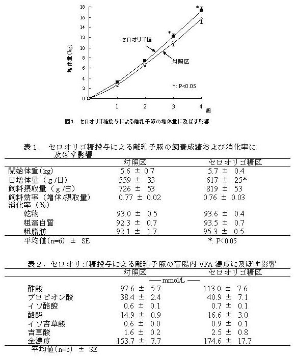 図1 セロオリゴ糖投与による離乳子豚の像体重に及ぼす影響 表1. セロオリゴ糖投与による離乳子豚の飼養成績および消化率に及ぼす影響 表2.セロオリゴ糖投与による離乳子豚の盲腸内VFA濃度に及ぼす影響