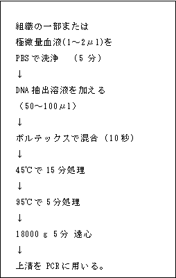 図2. DNA抽出のフローチャート