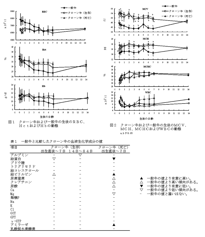 図1 クローン牛および一般牛の生後のRBC、HctおよびHbの動態 図2 クローン牛および一般牛の生後のMCV、MCH、MCHCおよびWBCの動態 表1 一般牛と比較したクローン牛の血液生化学成分の値