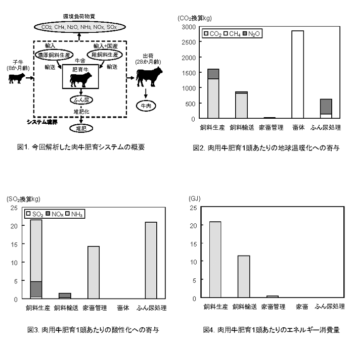 図1今回解析した肉牛肥育システムの概要 図2肉用牛肥育1頭あたりの地球温暖化への寄与 図3肉用牛肥育1頭あたりの酸性化への寄与 図4肉用牛肥育1頭あたりのエネルギー消費量
