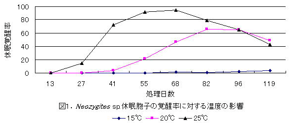 図1.Neozygites sp.休眠胞子の覚醒率に対する