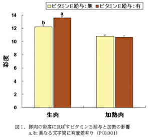 図1.豚肉の彩度に及ぼすビタミンE給与と加熱の影響