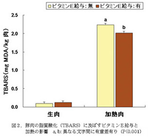 図2.豚肉の脂質酸化(TBARS)に及ぼすビタミンE給与と a, b: 異なる文字間に有意差有り(P<0.001) 加熱の影響a, b: 異なる文字間に有意差有り