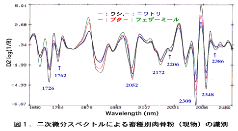 図1 . 二次微分スペクトルによる畜種別肉骨粉( 現物) の識別