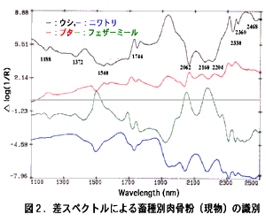 図2.差スペクトルによる畜種別肉骨粉(現物)の識別