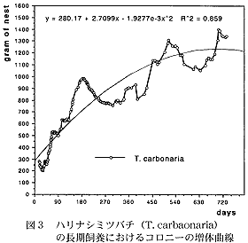 図3 ハリナシミツバチ(T. carbaonaria) の長期飼養におけるコロニーの増体曲線