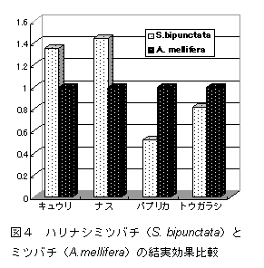 図4 ハリナシミツバチ(S. bipunctata)と ミツバチ(A .mellifera)の結実効果比較