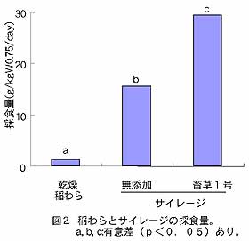 図2.稲わらとサイレージの採食量。
