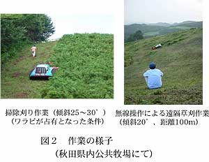 図2 作業の様子