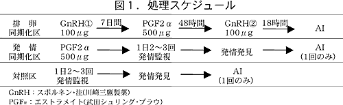 図1.処理スケジュール
