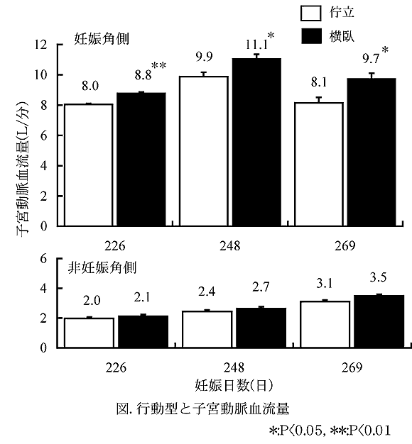 図. 行動型と子宮動脈血流量