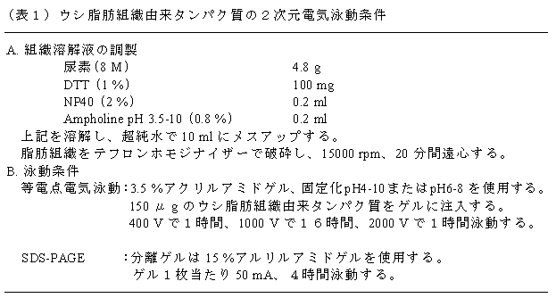 (表1)ウシ脂肪組織由来タンパク質の2次元電気泳動条件