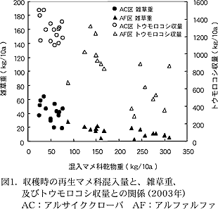 図1. 収穫時の再生マメ科混入量と、雑草重、 及びトウモロコシ収量との関係