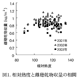 図1. 相対熟度と雌穂乾物収量の相関