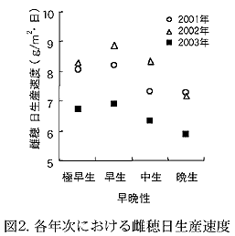 図2. 各年次における雌穂日生産速度