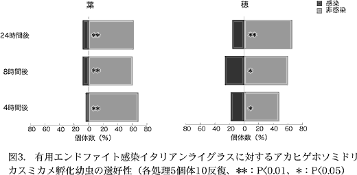 図3. 有用エンドファイト感染イタリアンライグラスに対するアカヒゲホソミドリカスミカメ孵化幼 虫の選好性