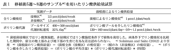 表1 移植後5 週?8 週のサンプルを用いたリン酸供給量試算