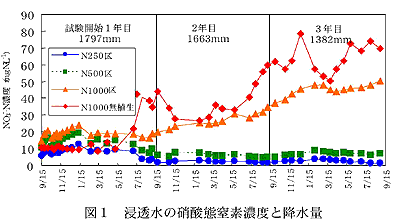 図1 浸透水の硝酸態窒素濃度と降水量