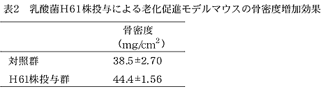 表2 乳酸菌H61株投与による老化促進モデルマウスの骨密度増加効果