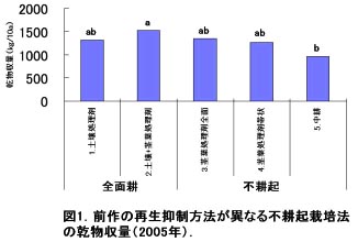 図1 前作の再生抑制方法が異なる不耕起栽培法の乾物収量(2005年)