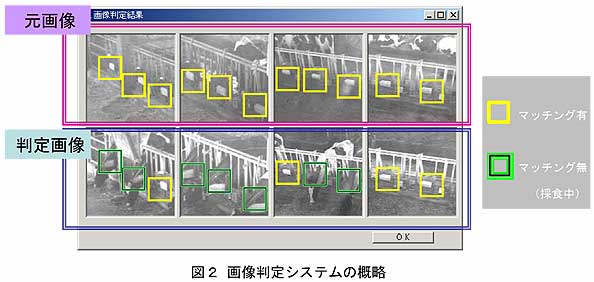 図2 画像判定システムの概略